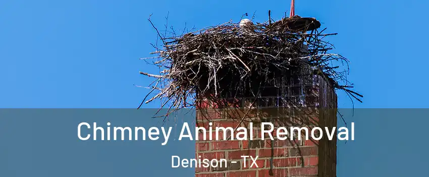  Chimney Animal Removal Denison - TX
