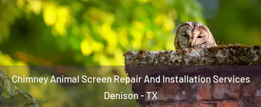  Chimney Animal Screen Repair And Installation Services Denison - TX