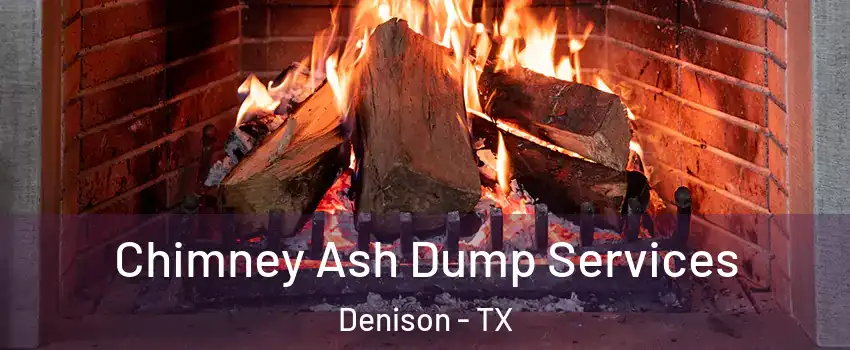  Chimney Ash Dump Services Denison - TX