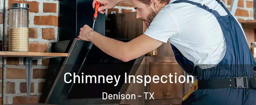  Chimney Inspection Denison - TX