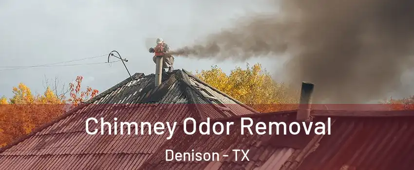  Chimney Odor Removal Denison - TX