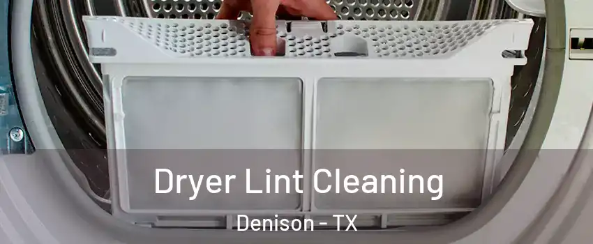 Dryer Lint Cleaning Denison - TX