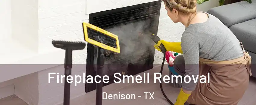  Fireplace Smell Removal Denison - TX