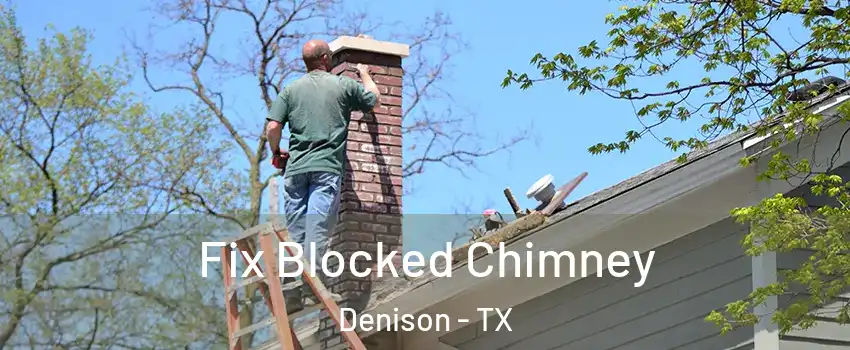  Fix Blocked Chimney Denison - TX