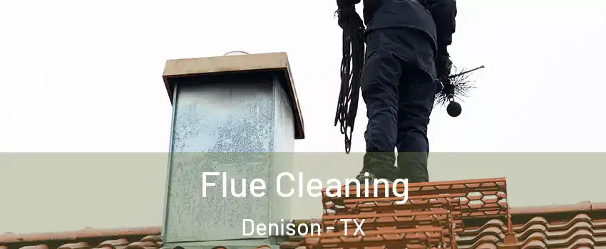  Flue Cleaning Denison - TX