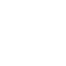 Professional Chimney Flue Installation in Denison, Texas
