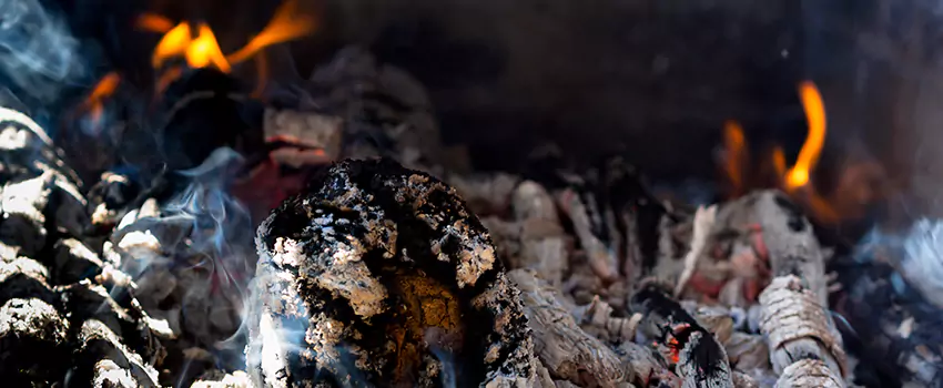 Creosote Removal Experts in Denison, TX