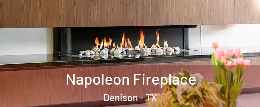  Napoleon Fireplace Denison - TX